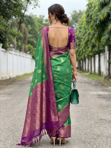 MIMOSA Saree Saree — pose 2 styling detail