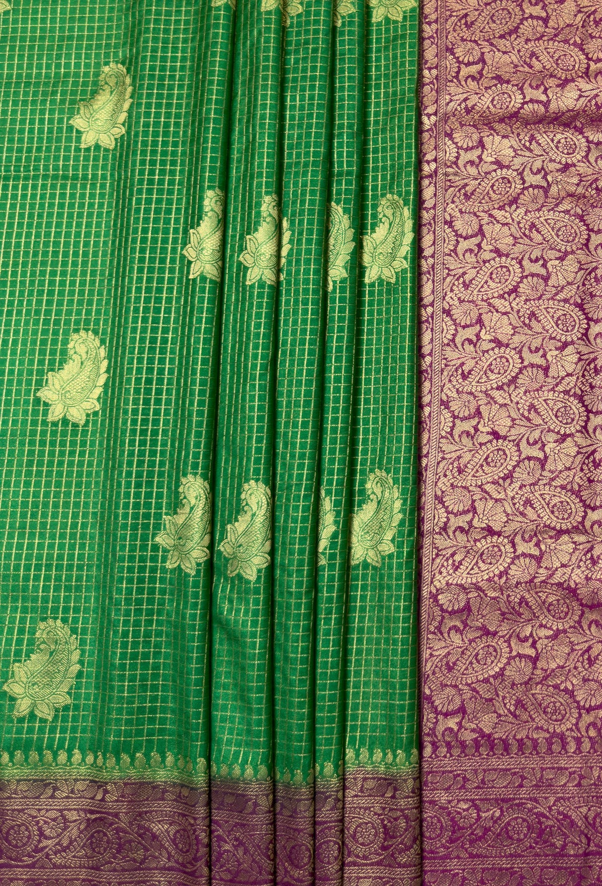 MIMOSA Saree Saree — fleets shot full lifestyle