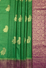 MIMOSA Saree Saree — fleets shot full lifestyle