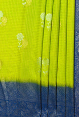 MIMOSA Liril Mysore Silk crepe Saree — fleets shot full lifestyle