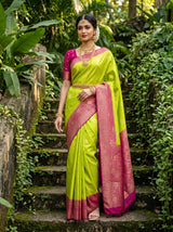 MIMOSA Liril Mysore Silk crepe Saree — Draped Mannequin View