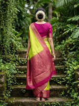 MIMOSA Liril Mysore Silk crepe Saree — contrast Mejanta blouse Fabric