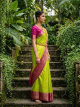 MIMOSA Liril Mysore Silk crepe Saree — Full View on Model