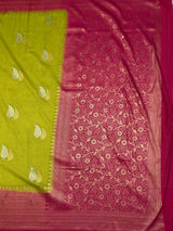 MIMOSA Olive Saree Saree — pallu and zari work detail