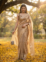 Chiku  Saree