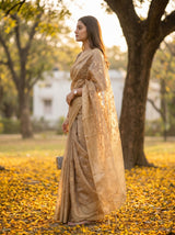 MIMOSA Chiku Saree Saree — pose 3 styling detail