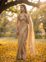 MIMOSA Chiku Saree Saree — pose 5 styling detail