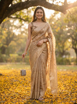 MIMOSA Chiku Saree Saree — pose 6 styling detail