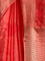 MIMOSA Red Saree Saree — fleets shot full lifestyle