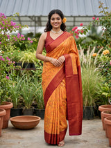 Chiku  Saree