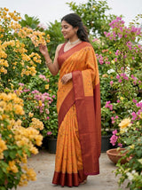 MIMOSA Chiku Saree Saree — pose 3 styling detail