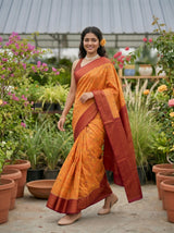 MIMOSA Chiku Saree Saree — pose 6 styling detail
