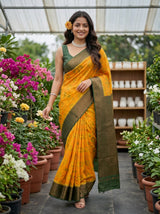 MIMOSA Gold Saree Saree — pose 6 styling detail