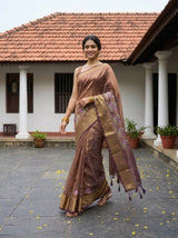 MIMOSA Chocolate Banarasi Organza Saree — pose 6 styling detail