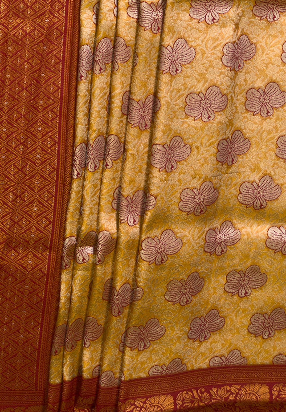 MIMOSA Saree Saree — fleets shot full lifestyle