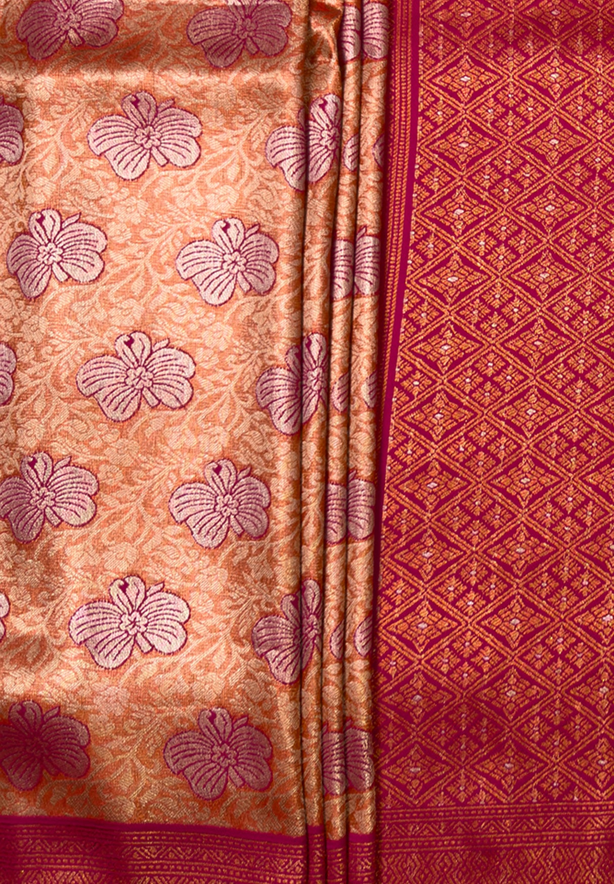 MIMOSA Saree Saree — fleets shot full lifestyle