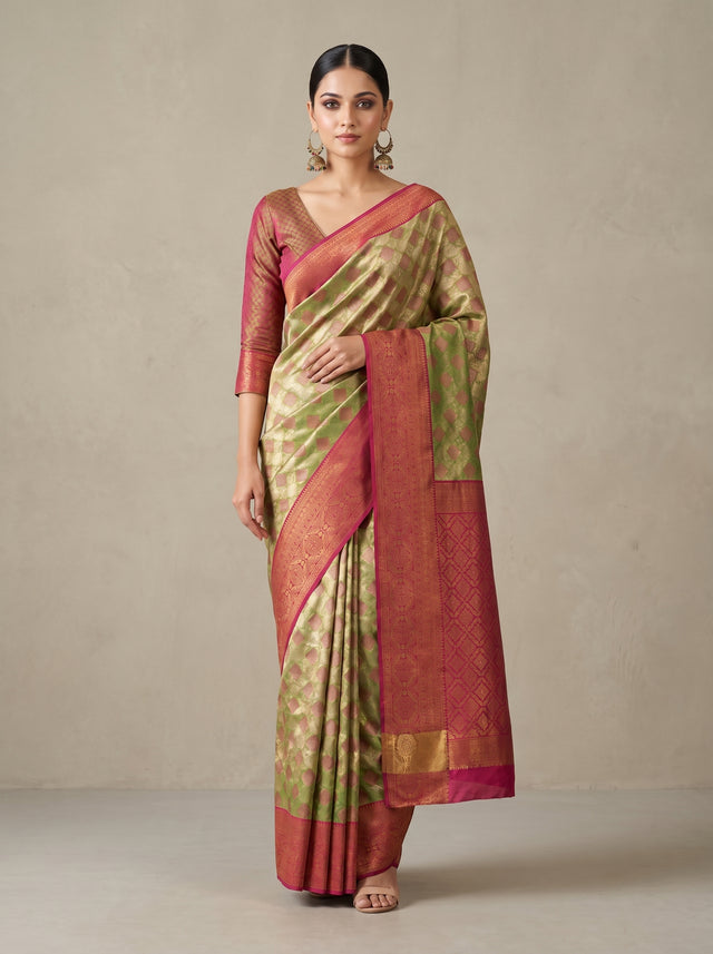 Olive  Saree