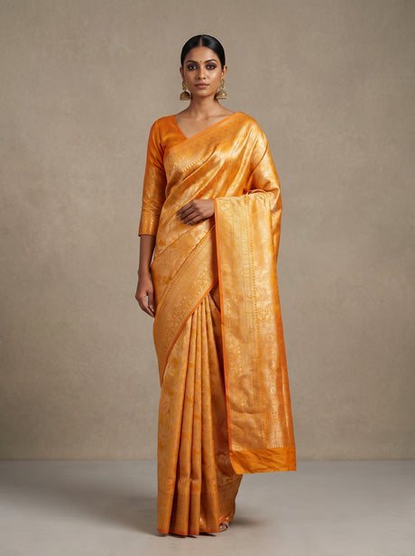 MIMOSA Saree Saree — front view on mannequin