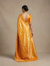MIMOSA Saree Saree — pose 2 styling detail