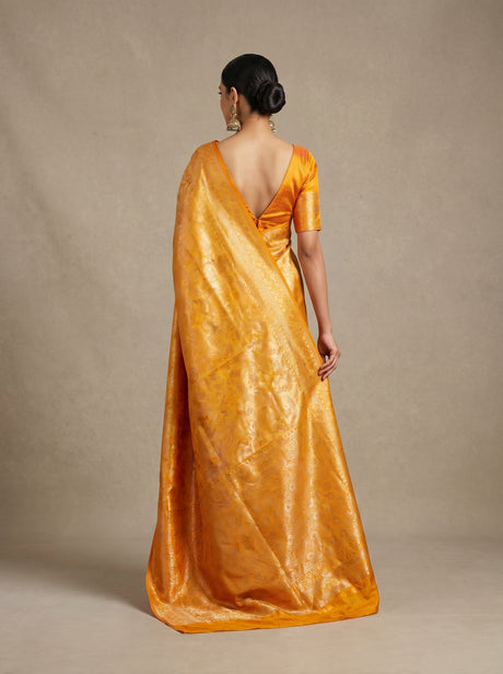 MIMOSA Saree Saree — pose 2 styling detail