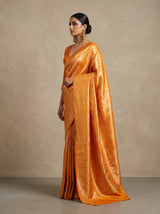 MIMOSA Saree Saree — pose 3 styling detail