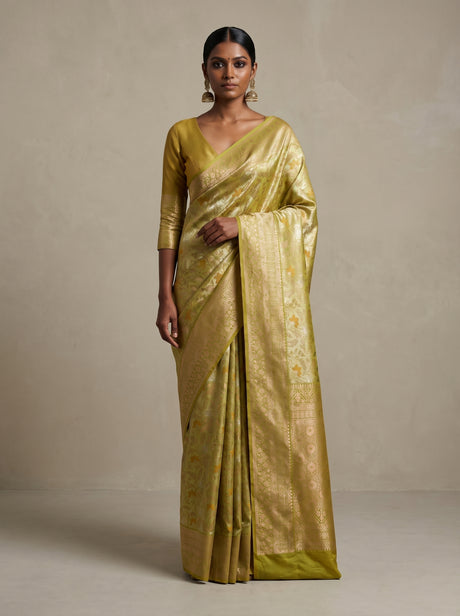 MIMOSA Saree Saree — front view on mannequin