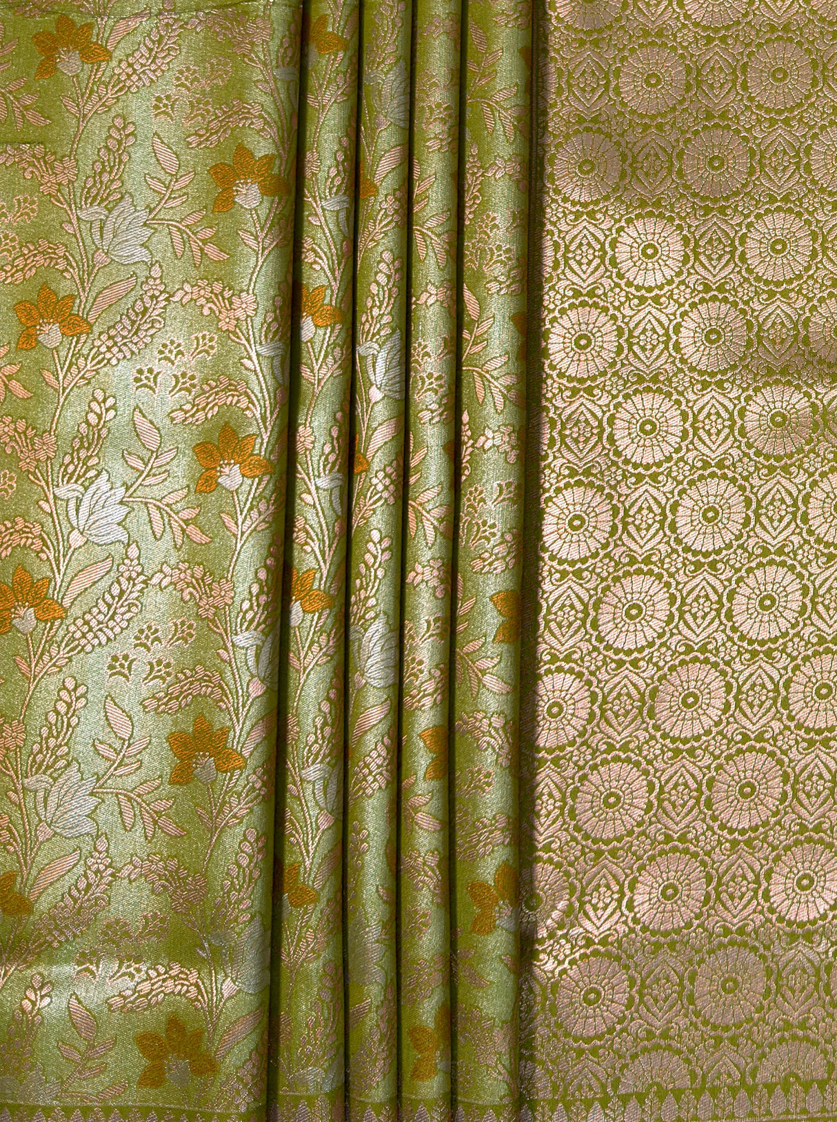 MIMOSA Saree Saree — fleets shot full lifestyle