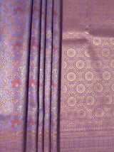MIMOSA Saree Saree — fleets shot full lifestyle