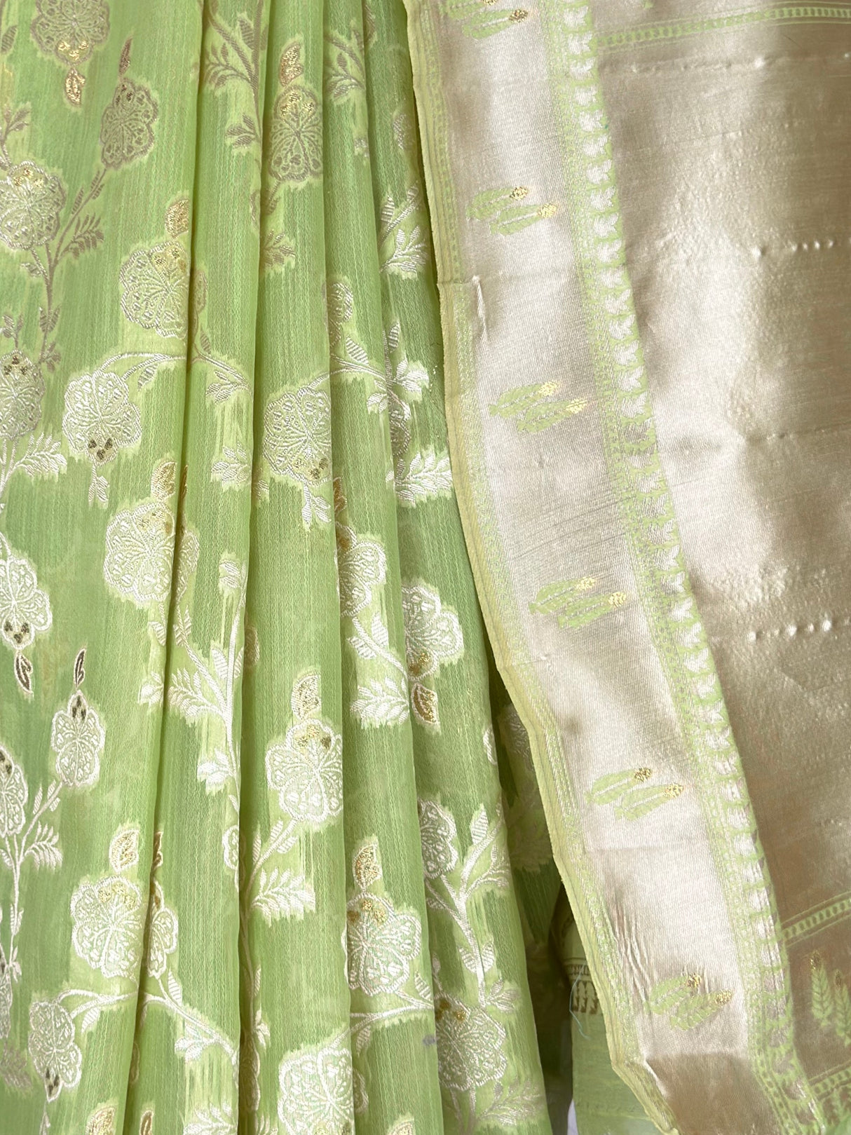 MIMOSA Saree Saree — fleets shot full lifestyle