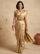 MIMOSA Chikoo Kanjivaram Art Silk Saree — pose 7 styling detail