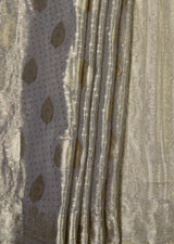 MIMOSA Chikoo Kanjivaram Art Silk Saree — fleets shot full lifestyle