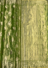 MIMOSA Olive Kanjivaram Art Silk Saree — pallu and zari work detail