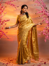 MIMOSA Chikoo Kanjivaram Art Silk Saree — Full View on Model