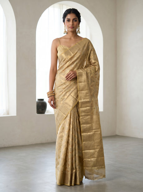 MIMOSA Chikoo Kanjivaram Art Silk Saree — mannequin view