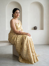 MIMOSA Chikoo Kanjivaram Art Silk Saree — pose 8 styling detail