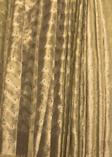 MIMOSA Chikoo Kanjivaram Art Silk Saree — fleets shot full lifestyle