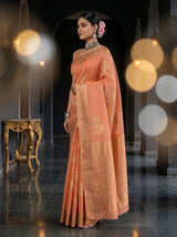 MIMOSA Saree Saree — pose 3 styling detail