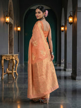 MIMOSA Saree Saree — pose 7 styling detail