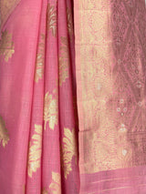 MIMOSA Saree Saree — fleets shot full lifestyle
