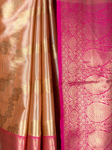 MIMOSA Saree Saree — fleets shot full lifestyle