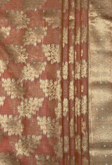 MIMOSA Saree Saree — fleets shot full lifestyle