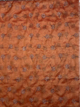 MIMOSA Saree Saree — pallu and zari work detail
