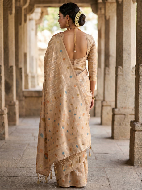 MIMOSA Chikoo Banarasi Art Silk Saree — Close-up of the border and hand pose