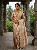 MIMOSA Chikoo Banarasi Art Silk Saree — View of the back and hairstyle