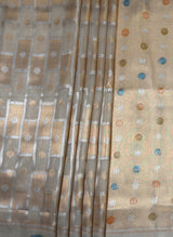 MIMOSA Chikoo Banarasi Art Silk Saree — Side view of the model and background