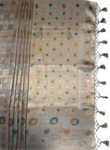 MIMOSA Chikoo Banarasi Art Silk Saree — Close-up of the lower drape and pleats