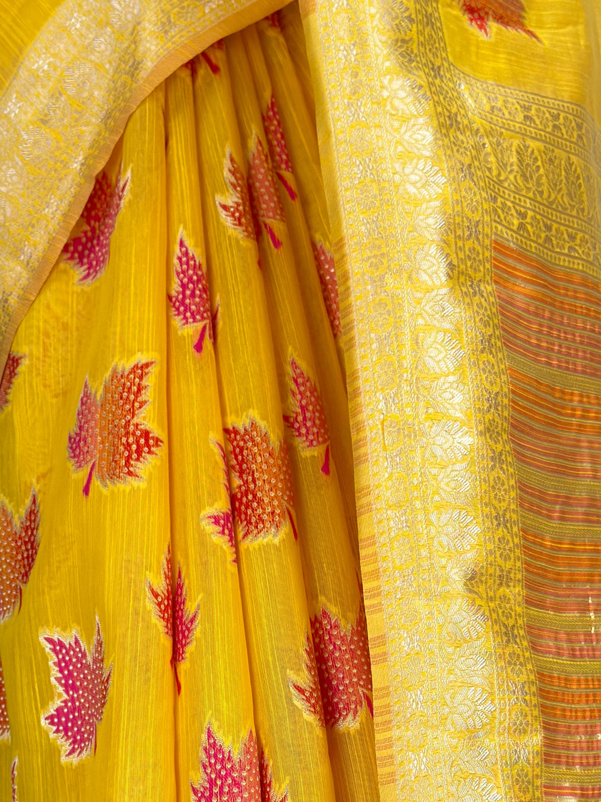 MIMOSA Saree Saree — fleets shot full lifestyle