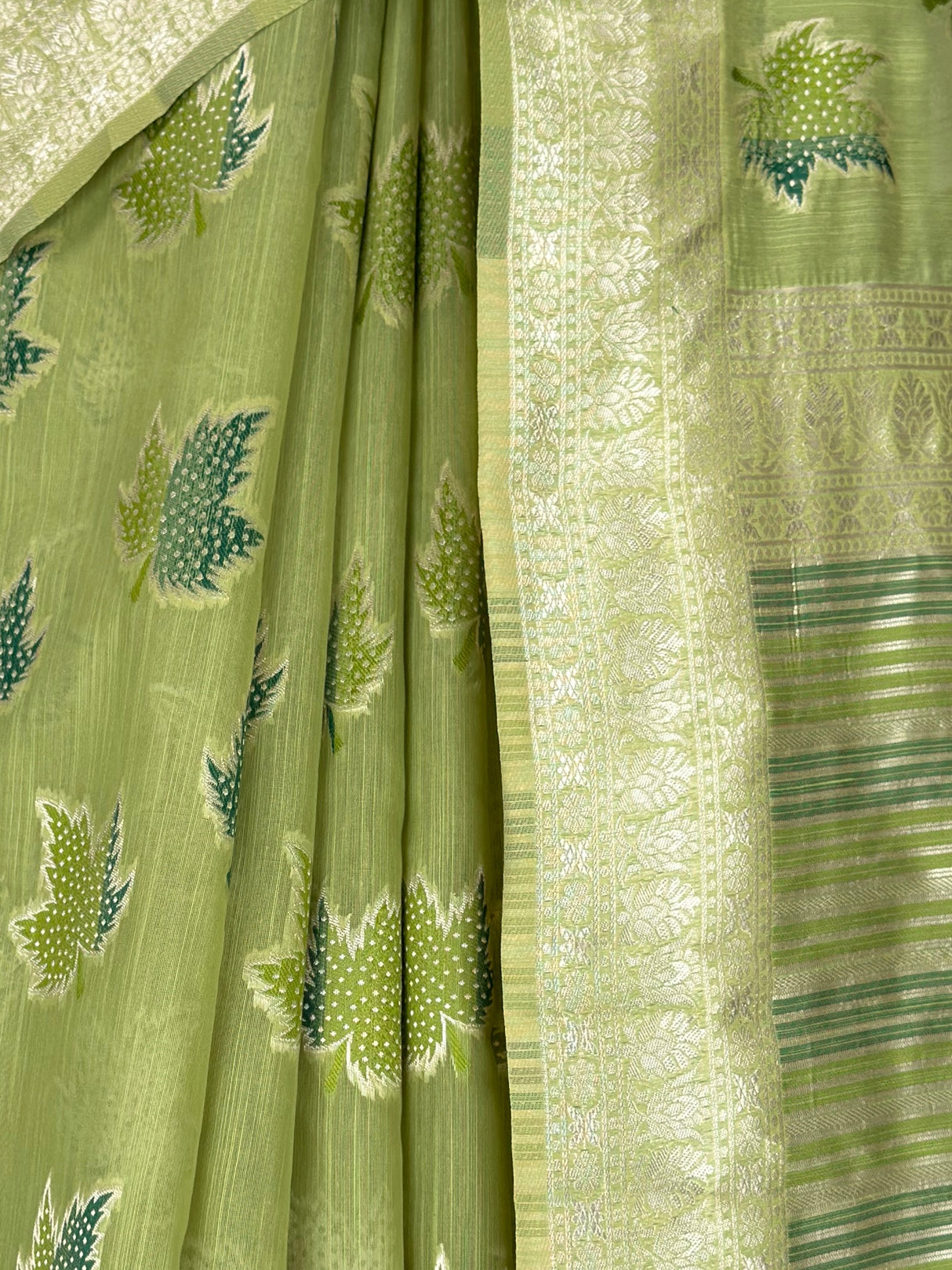 MIMOSA Saree Saree — fleets shot full lifestyle