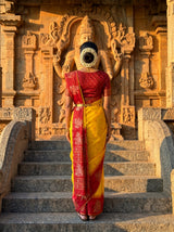 MIMOSA Gold Saree Saree — pose 2 styling detail
