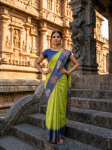 MIMOSA Olive Saree Saree — pose 4 styling detail